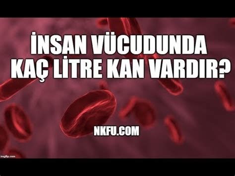 bir insanda toplam kaç litre kan vardır